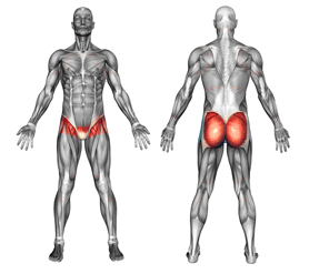 hip-groin-buttock